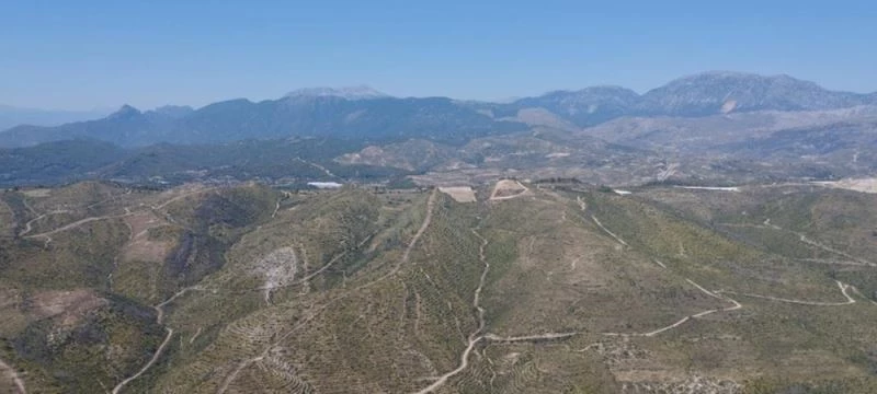 Manavgat yangınının üzerinden iki yıl geçti