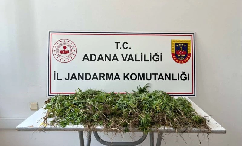 Adana
