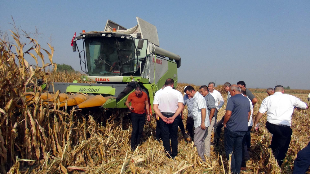 OZO Başkanı Sezgin: Çiftçilerimiz, bir an önce mısır fiyatlarının açıklanmasını beklemekte