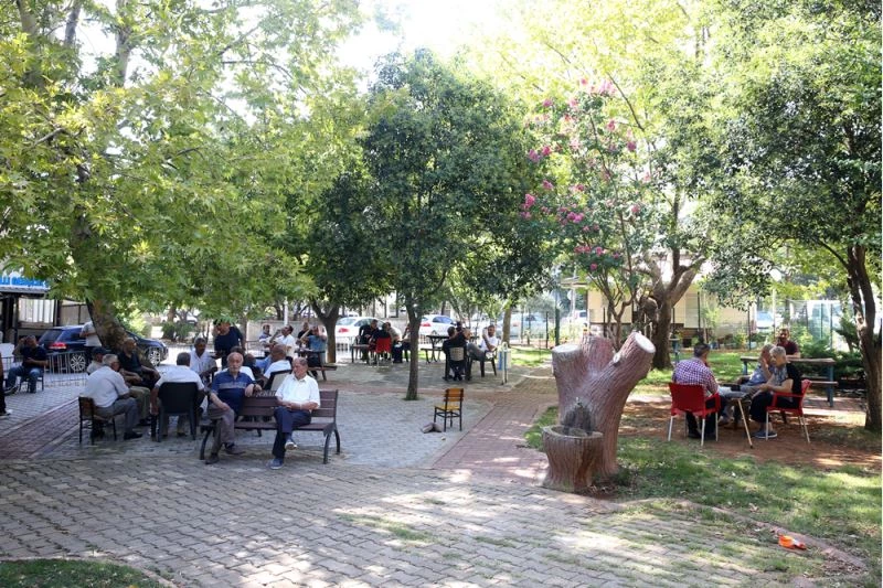 Gaziantep, Şanlıurfa, Malatya, Kahramanmaraş ve Kilis