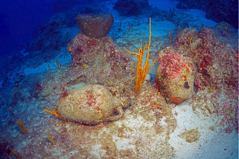 Antalya kıyılarında süren arkeolojik su altı çalışmaları görüntülendi