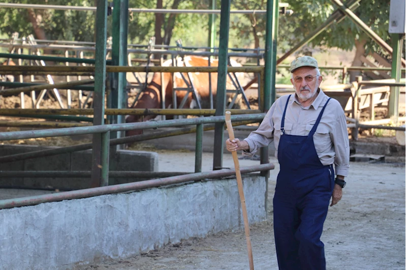 Devlet desteğiyle önce süt üretim çiftliğine, sonra düve merkezine sahip oldu