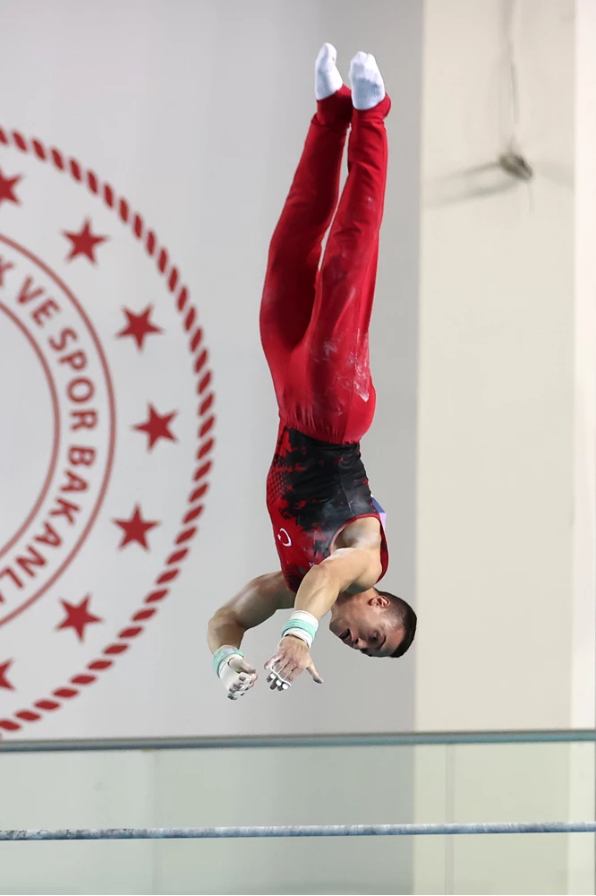 Artistik Cimnastik Dünya Challenge Kupası 