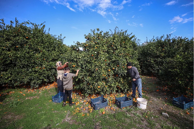 6 ŞUBAT DEPREMLERİNİN BİRİNCİ YILI - Hatay