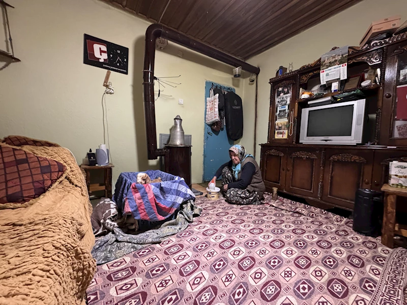 Torunlarının adını verdikleri oğlağa evlerinde bebek gibi bakıyorlar