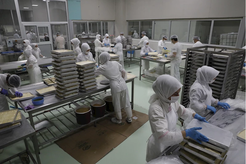 6 ŞUBAT DEPREMLERİNİN BİRİNCİ YILI - Kahramanmaraşlı dondurmacılar, depreme rağmen üretim ve ihracatı artırdı