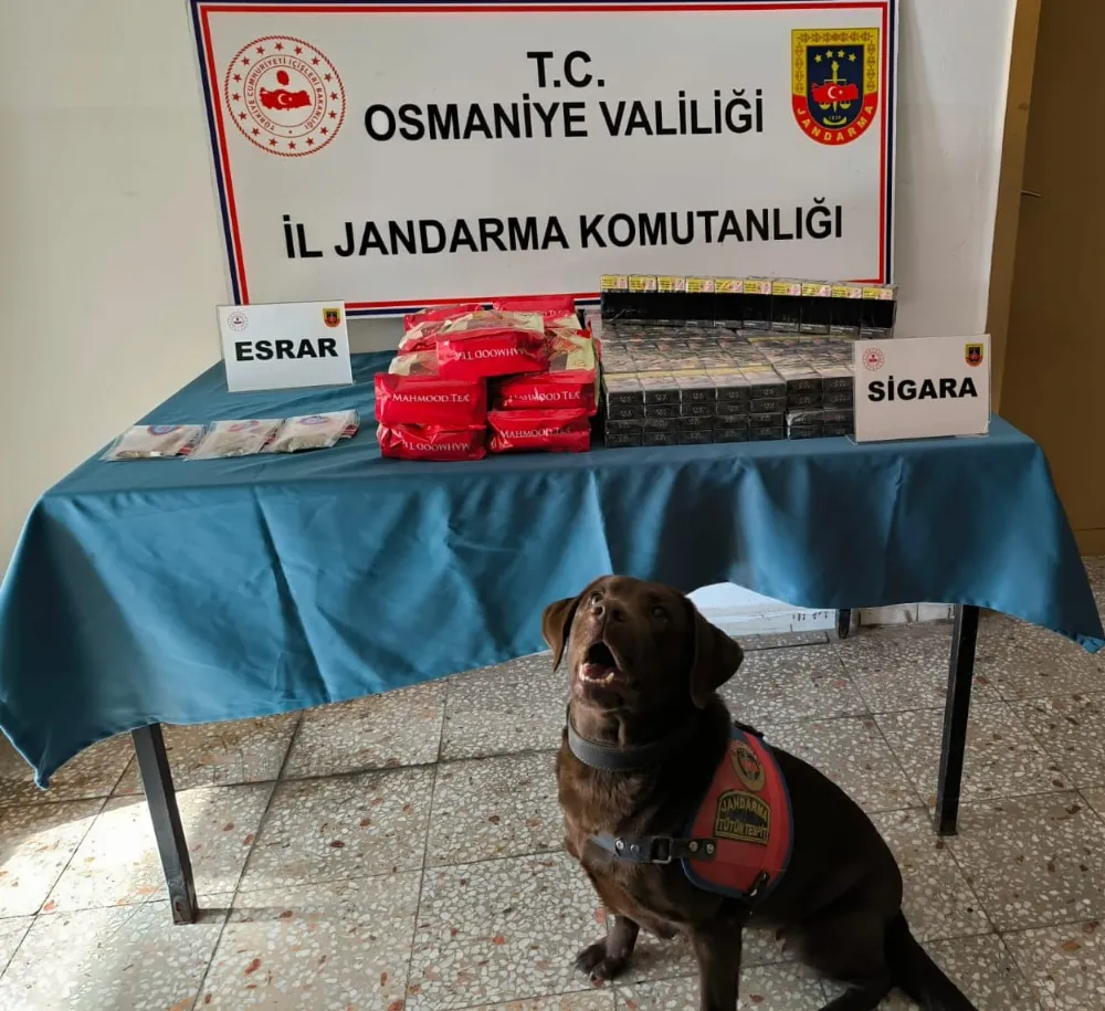 Jandarmadan uyuşturucu ve kaçakçılık operasyonları: 16 gözaltı