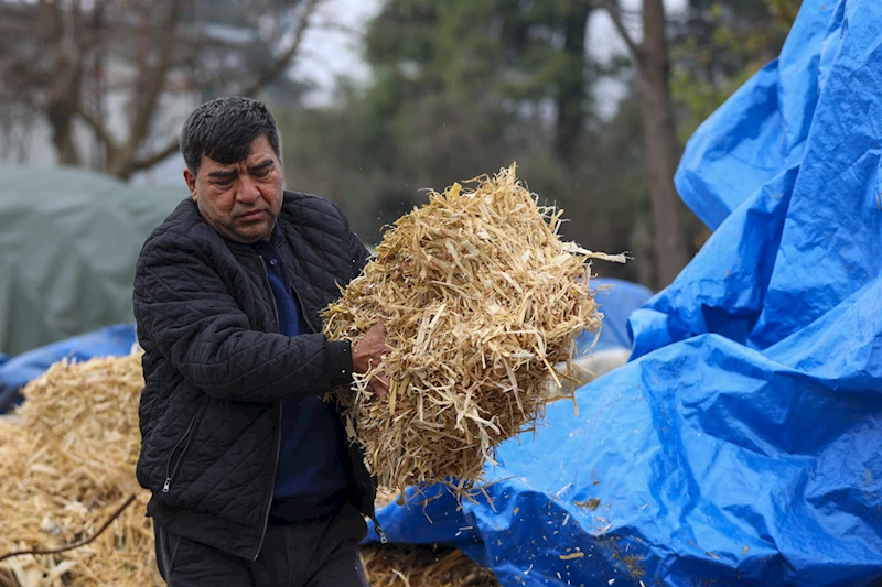 Deprem mağduru Hataylı besiciler üretimin kamu alımlarıyla desteklenmesini istiyor