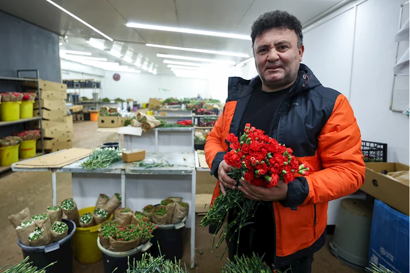 Çiçek üreticileri Hatay