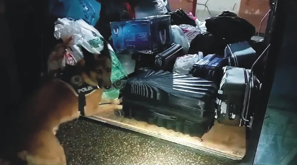 Osmaniye’de “Narkogüç-48” operasyonları: 5 tutuklu