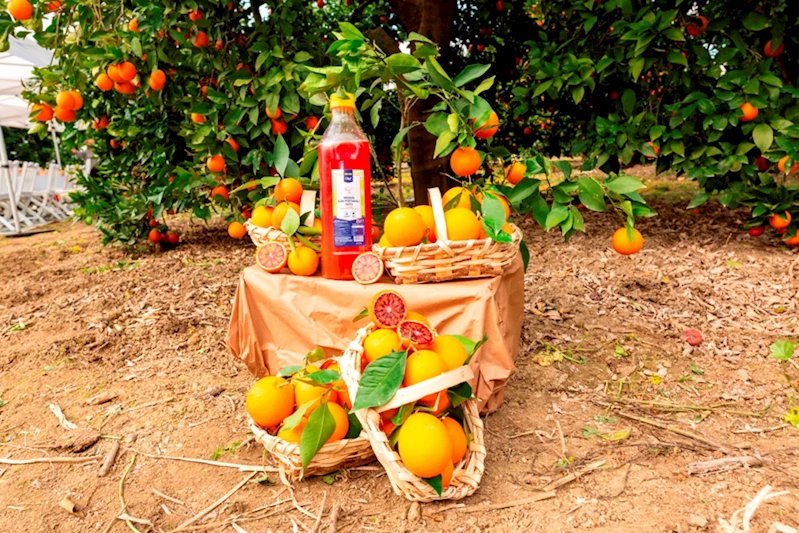 Metro Türkiye, Mersin kan portakalı suyunu tüketicilerle buluşturdu