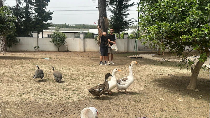 Otizmli çocuklar aldıkları eğitimin yanı sıra hayvan sevgisiyle de sosyalleşiyor