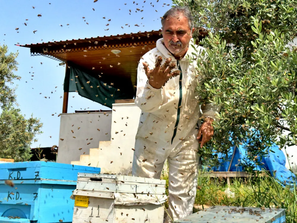 Yılda 1 Ton Bal Üretiyor