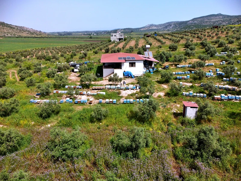 Hobi olarak arıcılığa başlayan terör gazisi, devlet desteğiyle 400 kovana ulaştı 