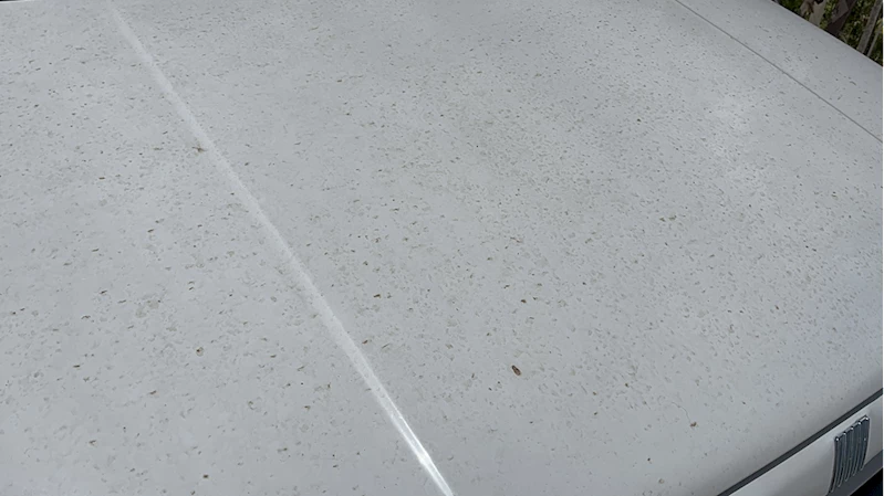  Isparta’da toz taşınımı etkili oldu