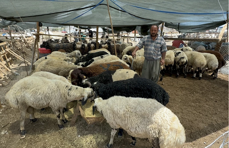 Adana, Mersin ve Hatay