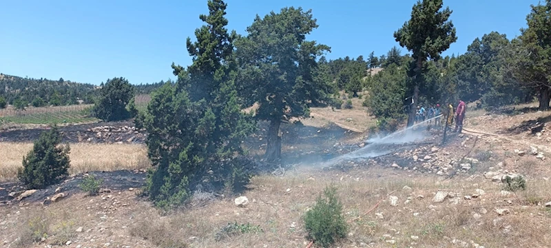 Mersin’de otluk ve ağaçlık alanda çıkan yangın söndürüldü