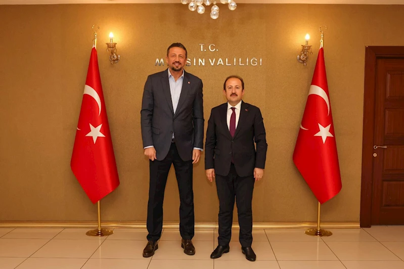 Türkiye Basketbol Federasyonu Başkanı Türkoğlu