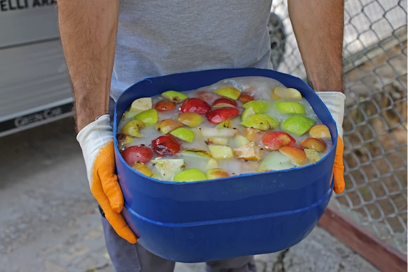 Antalya doğal yaşam parkındaki hayvanlar sıcak havada buzlu meyve kokteyliyle serinliyor