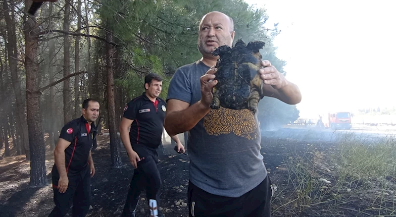 GÜNCELLEME - Kahramanmaraş