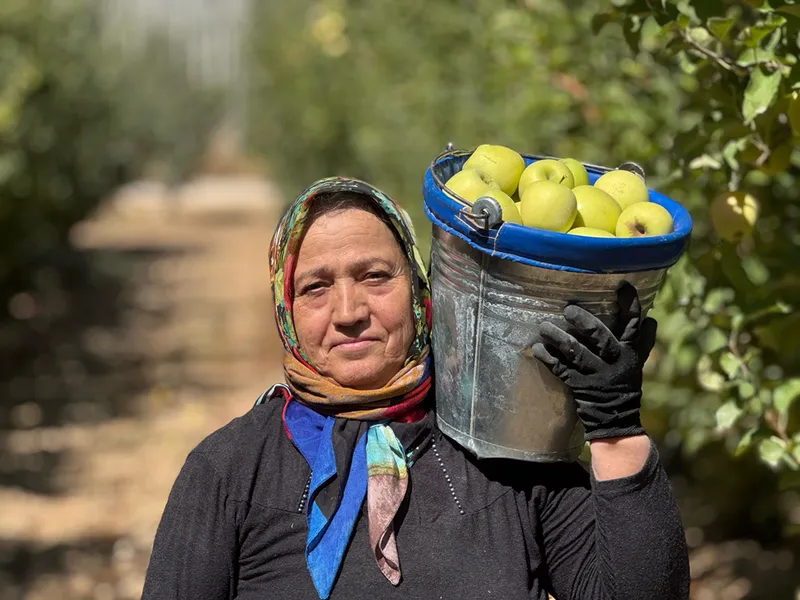 Elma diyarı Isparta