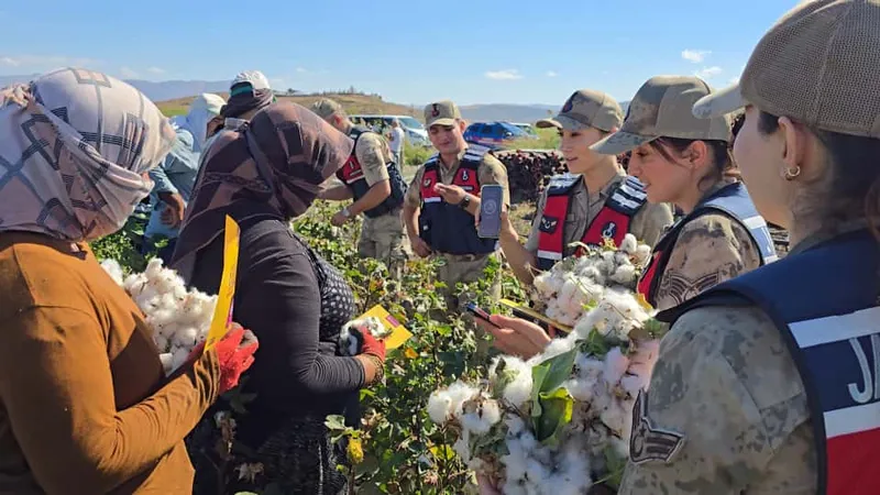 Jandarmadan pamuk hasadı yapan işçilere 