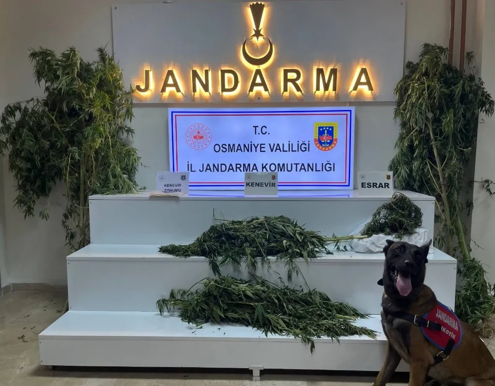Osmaniye’de jandarma son bir haftada 126 şüpheliyi yakaladı