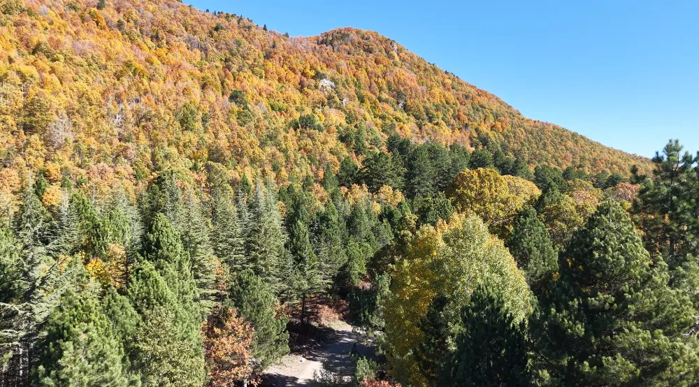 Osmaniye’de Zorkun ve Keldaz’da kartpostallık sonbahar manzarası