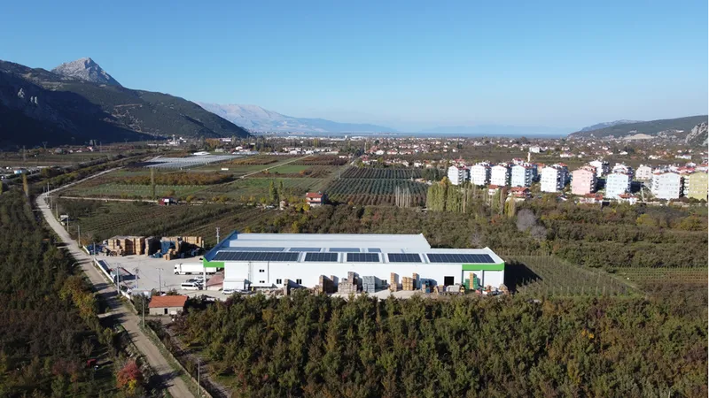 Isparta elması soğuk hava depolarında korunuyor