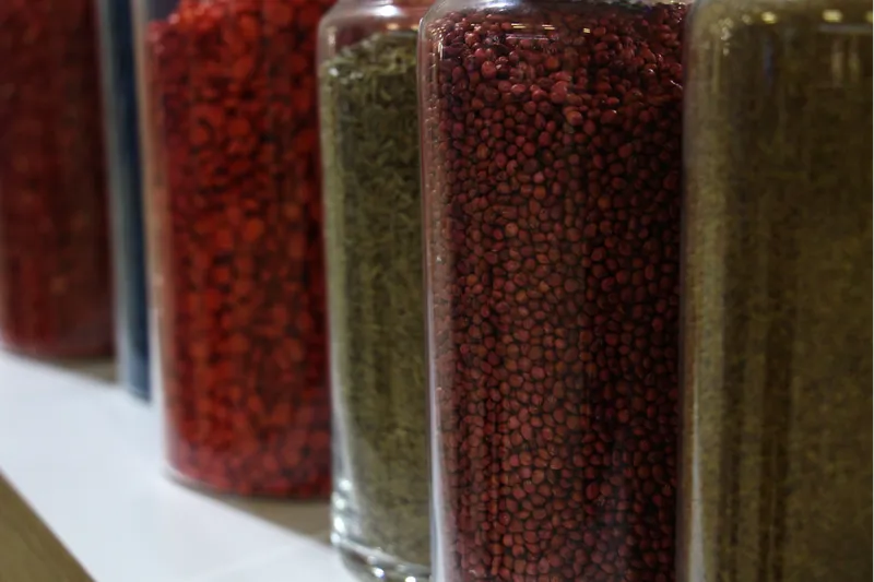 Türkiye 121 ülkeye tohum ihraç ediyor