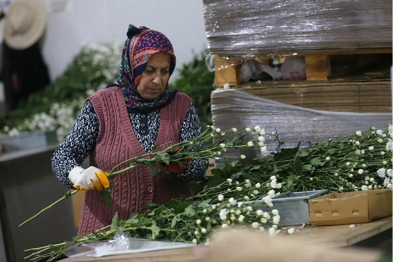 Çiçek ihracatında çeşitlilik arttı 