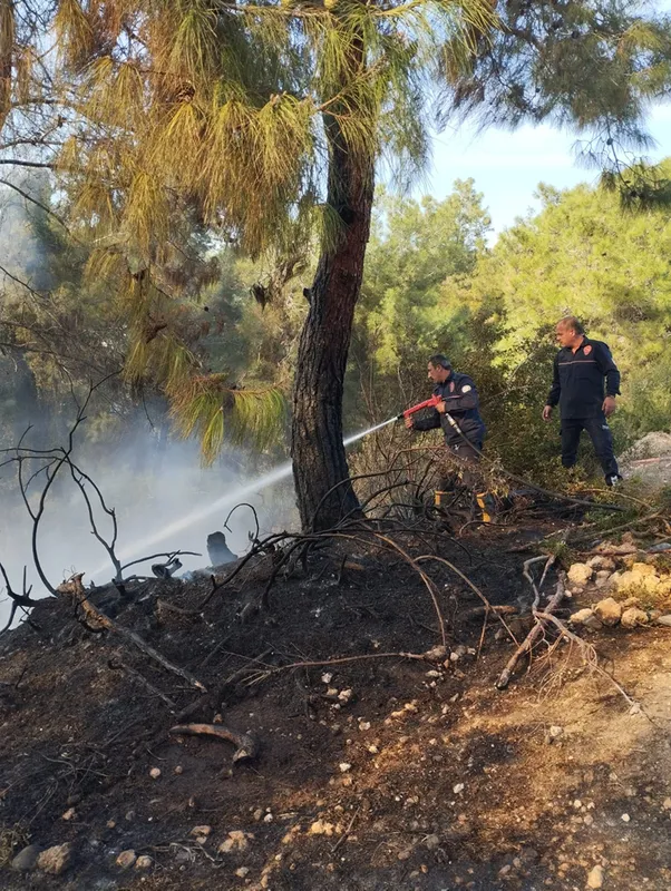 Sarıçam ilçesinde çıkan orman yangını söndürüldü