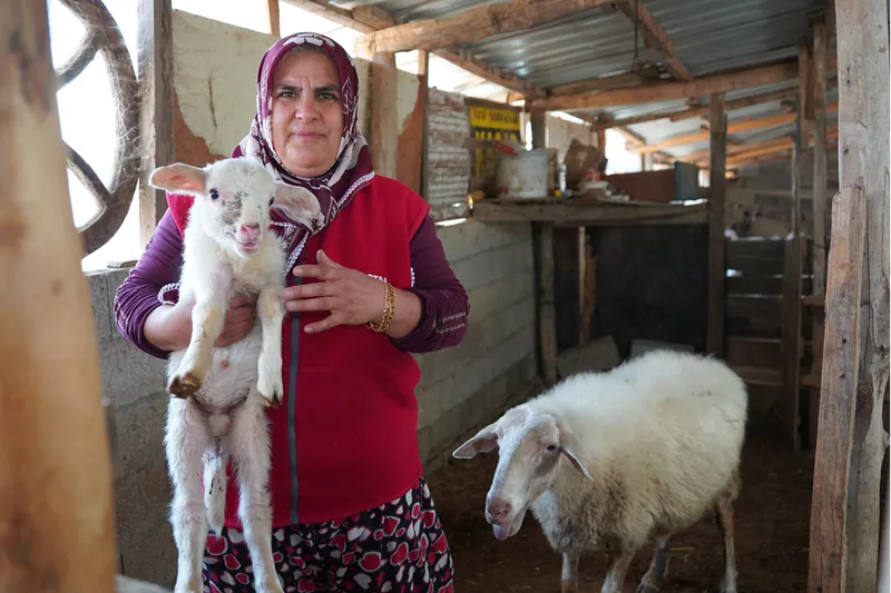 İki çocuk annesi kadın sabah çobanlık, öğlen servisçilik yapıyor