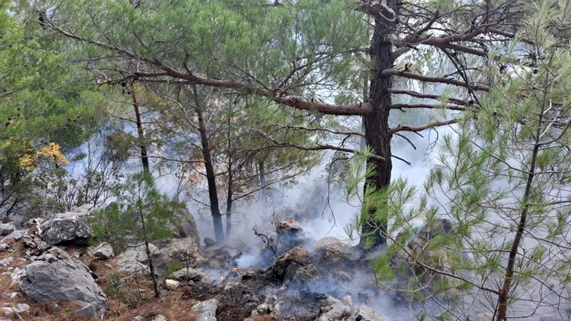 Bozyazı ilçesinde iki ayrı noktada çıkan orman yangını söndürüldü 