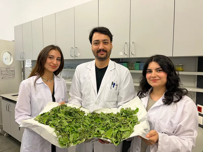 Bilgi Üniversitesi öğrencilerinden antibiyotik direncine karşı doğal çözüm