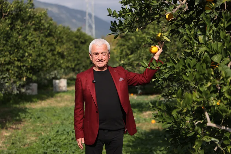 Coğrafi işaret tescilli Finike portakalına talep yoğun