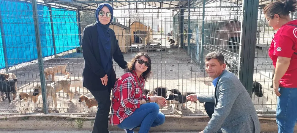 Belediye Meclis Üyesi Mazı Hayvan Barınağını Ziyaret Etti