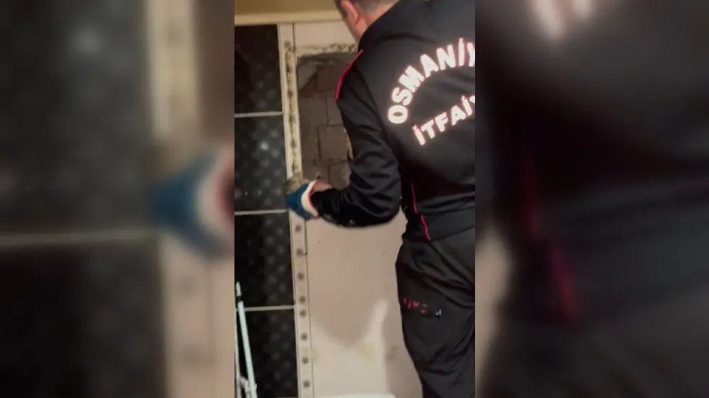 Osmaniye’de, havalandırma boşluğuna düşen yavru kediyi itfaiye kurtardı