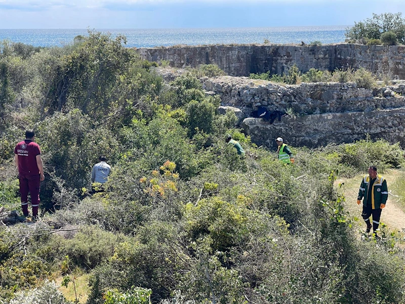 Mersin Kızkalesi çevresinde temizlik çalışması yapıldı