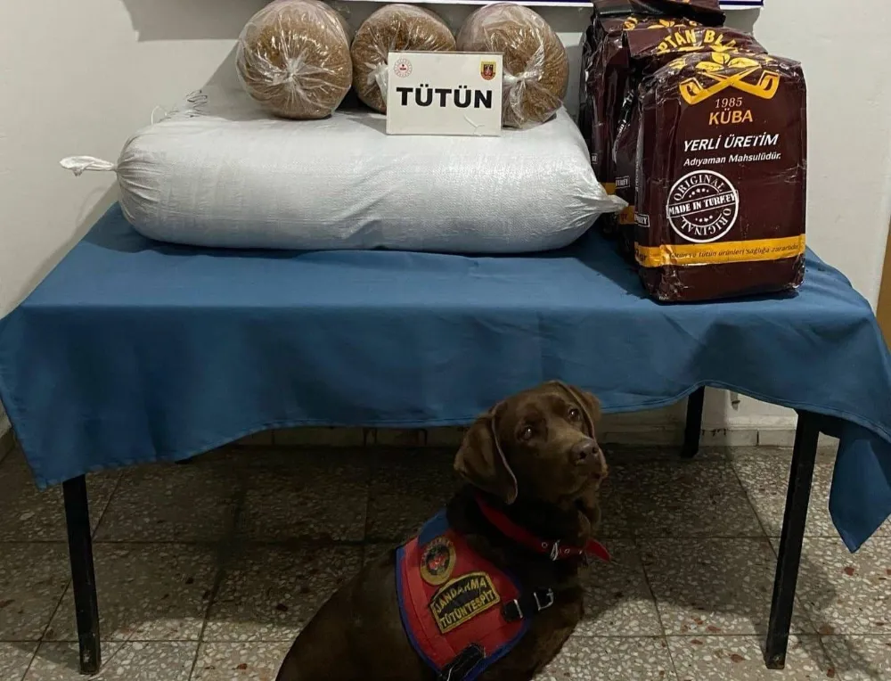 Osmaniye’de jandarma son bir haftada 127 şüpheliyi yakaladı