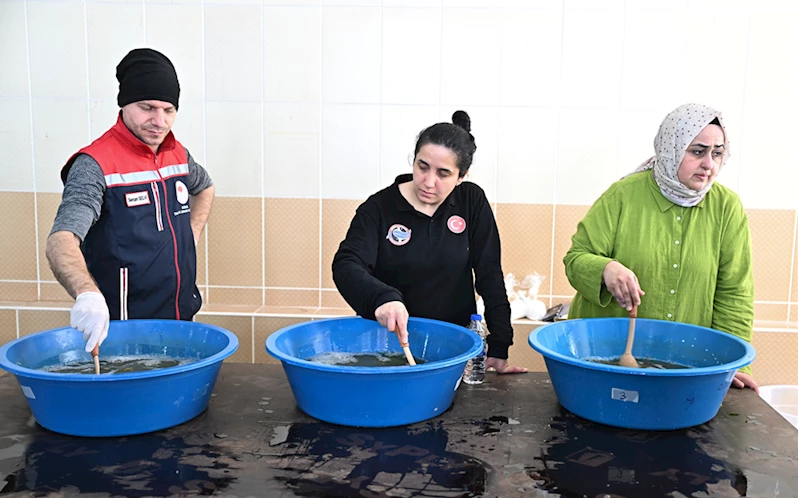 Sazan üretip gölleri balıklandırıyorlar