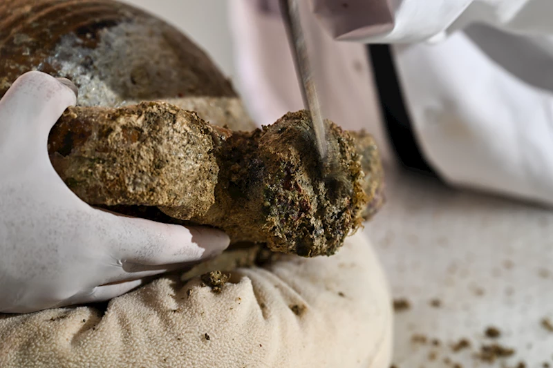 Gemi batığında 1100 yıllık kapağı açılmamış amfora bulundu