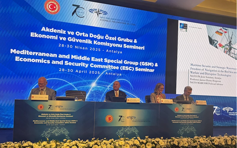 NATO Parlamenter Asamblesi