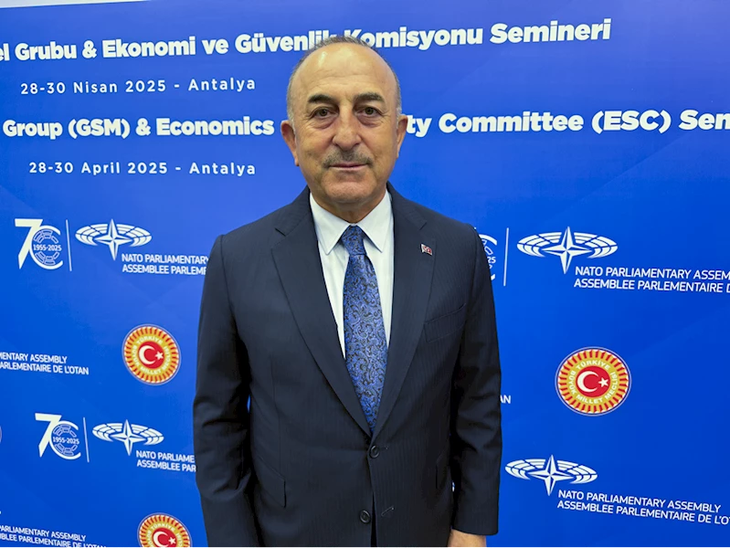 NATO Parlamenter Asamblesi