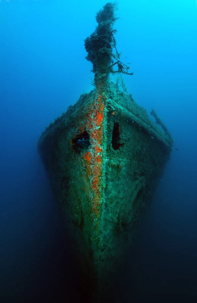 Birinci Dünya Savaşı