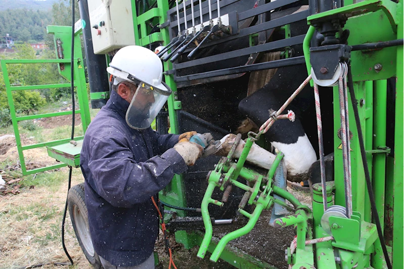 Hatay Büyükşehir Belediyesinden besicilere hayvan bakım desteği 