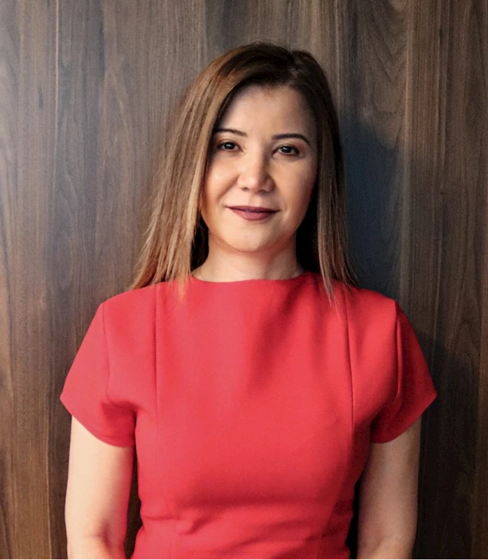 Bacacı Yatırım Holding, Helvacızade Grubu