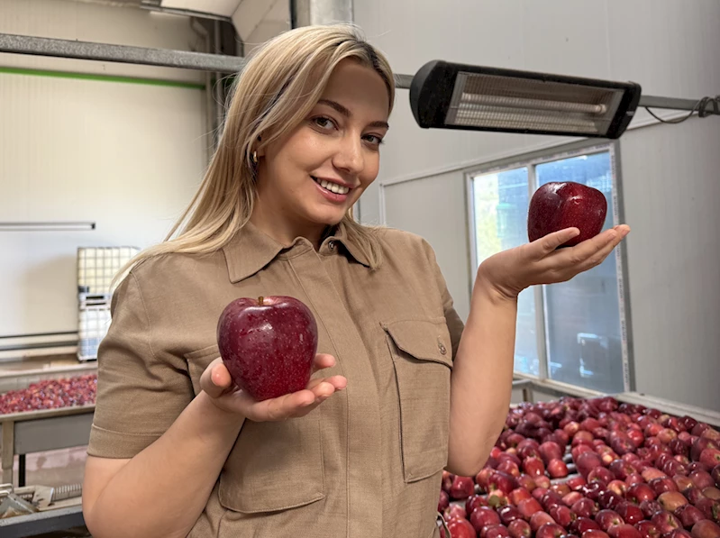 YENİ NESİL ÇİFTÇİLER - Elma üreticisi genç çiftçi ürünlerini kurutarak katma değerli hale getirecek