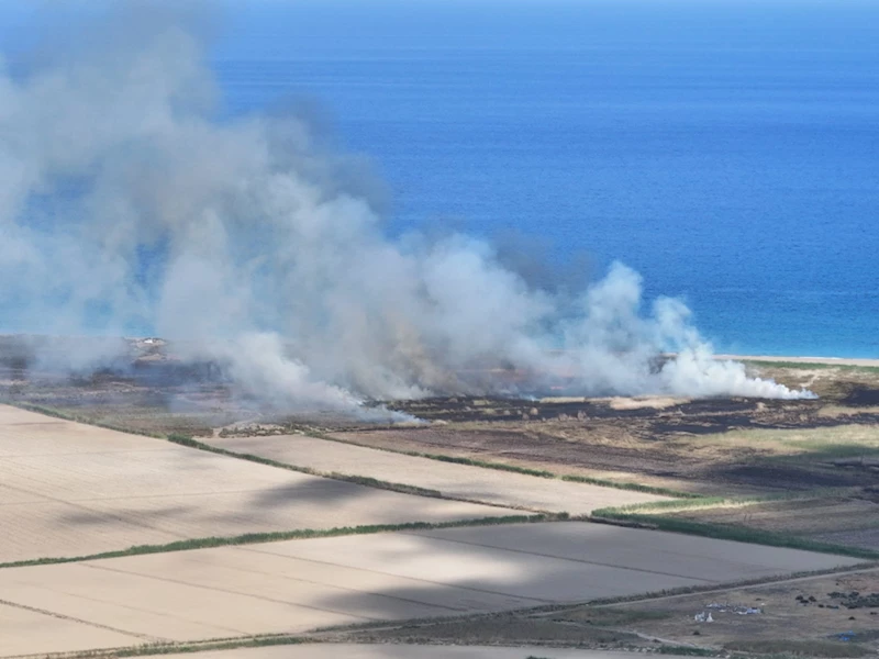 Mersin Göksu Deltası