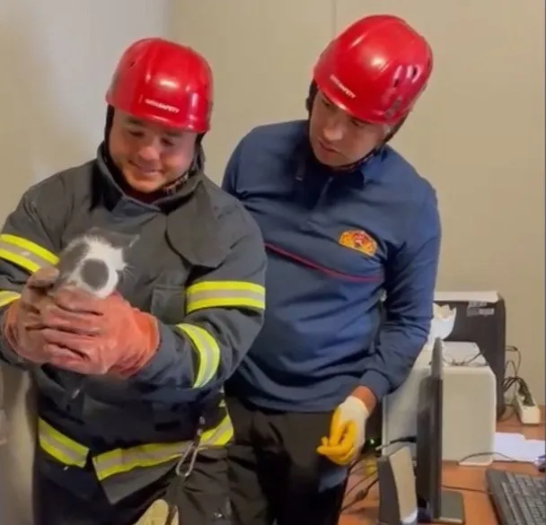 Osmaniye’de su borusu ve panel arasında mahsur kalan yavru kediler kurtarıldı